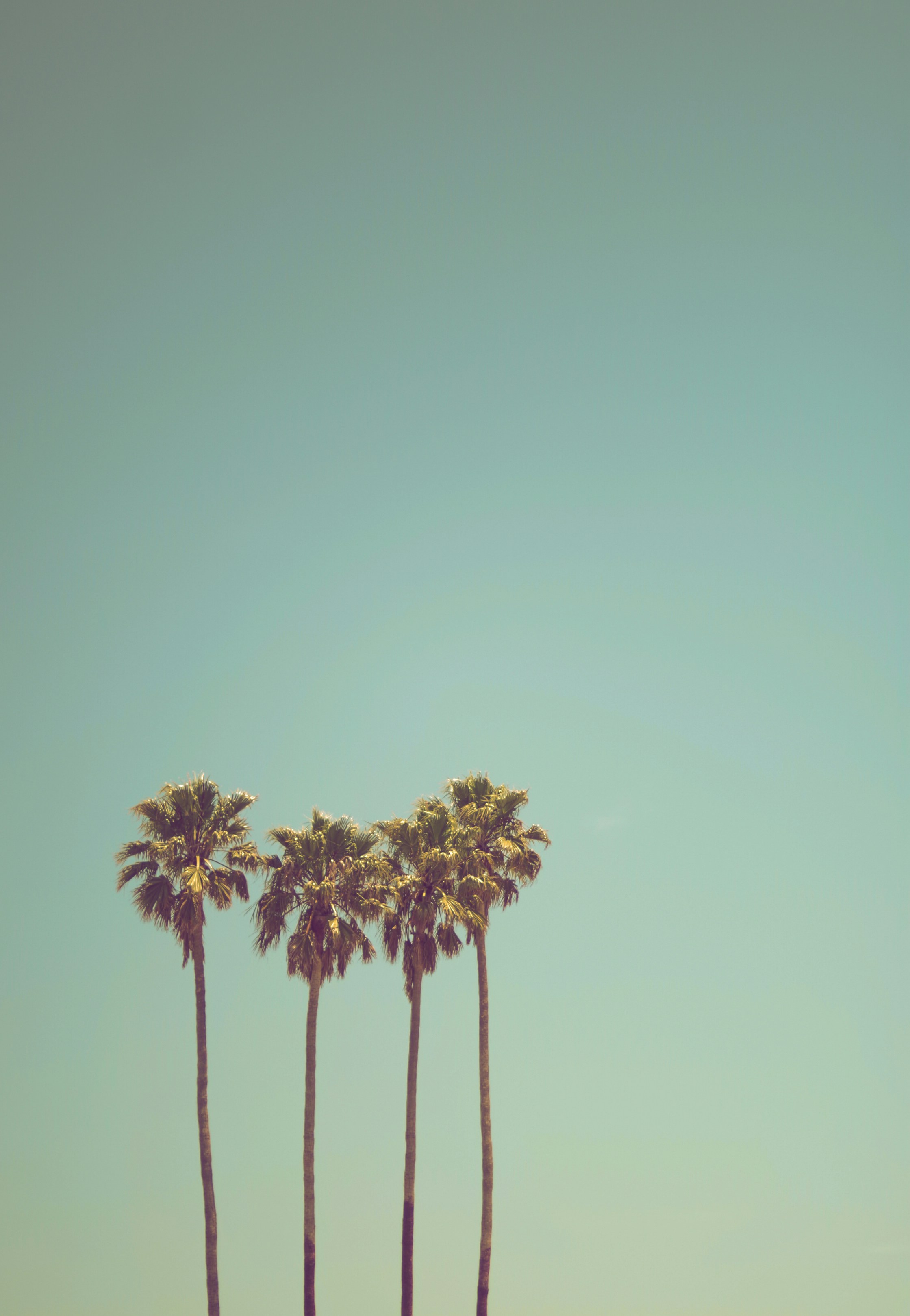 LUTs, Prints und Kurse