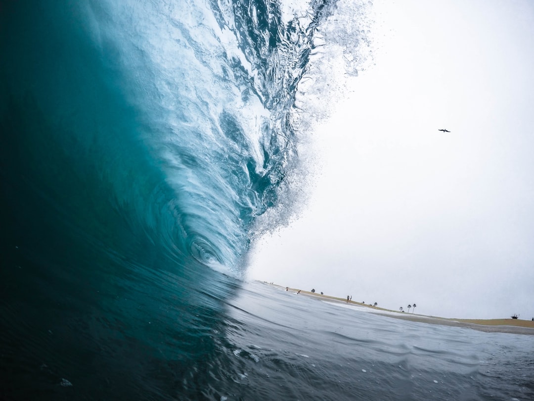 Surfing photo spot Newport Beach Malibu