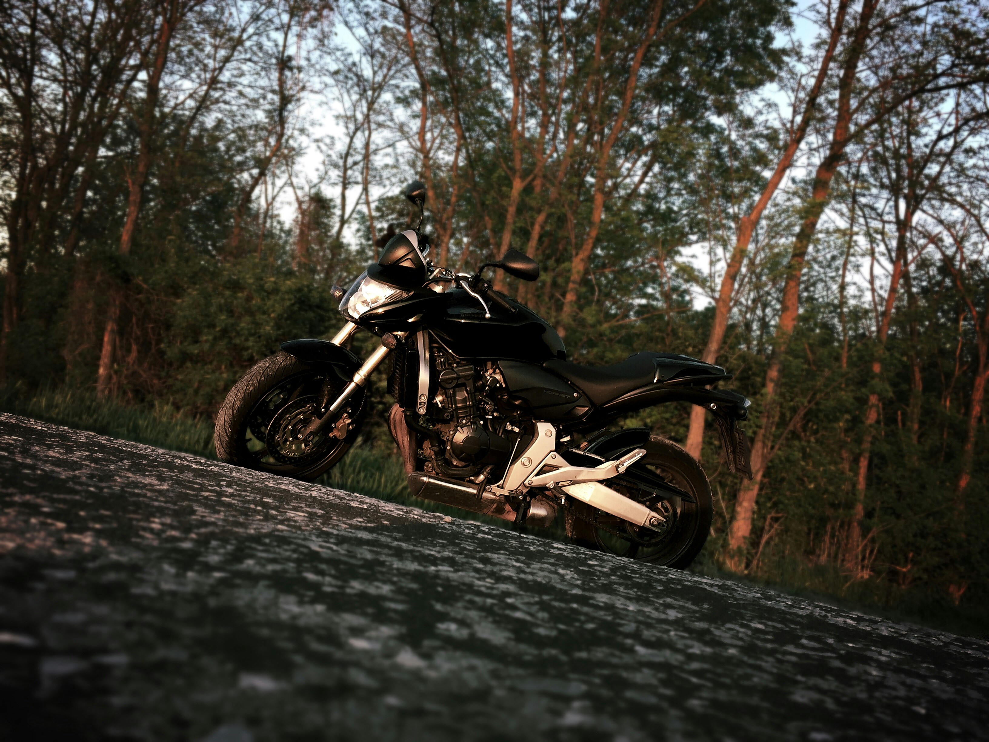 Classic Cruiser Bike