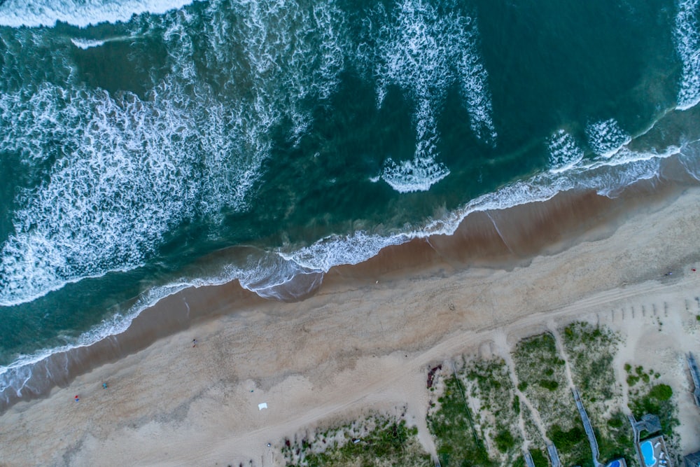 Vista a volo d'uccello della riva del mare vicino agli alberi ad alto fusto