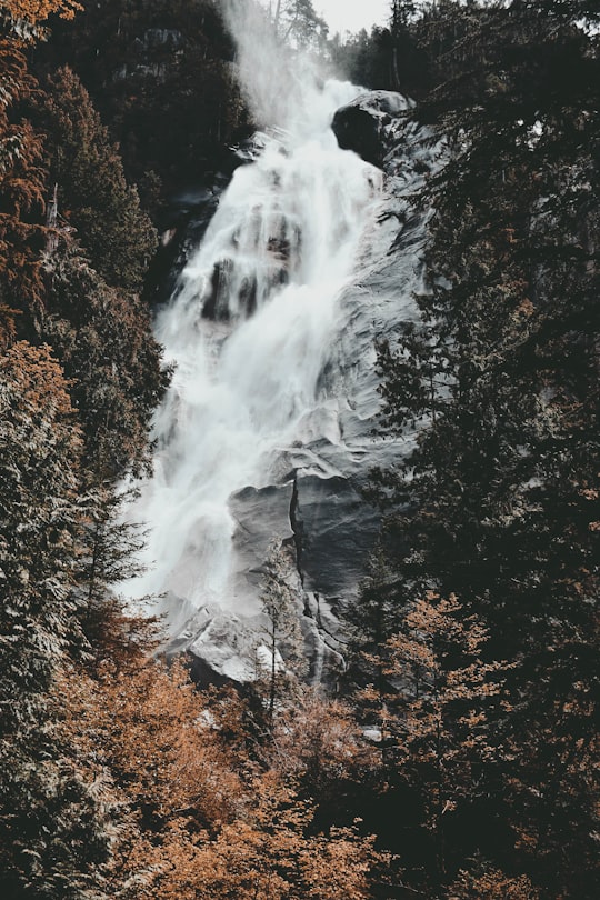 Stawamus Chief Provincial Park things to do in Squamish