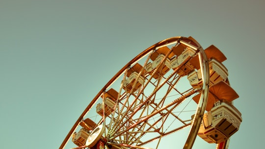 brown Ferris wheel in Windsor Canada