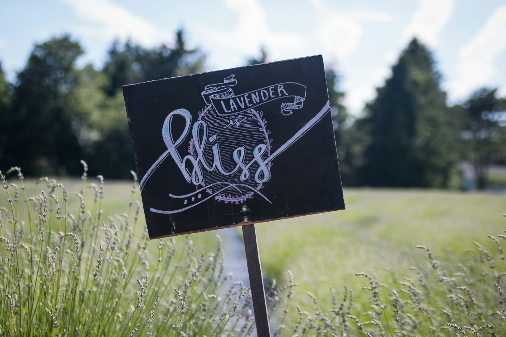 gray computer monitor