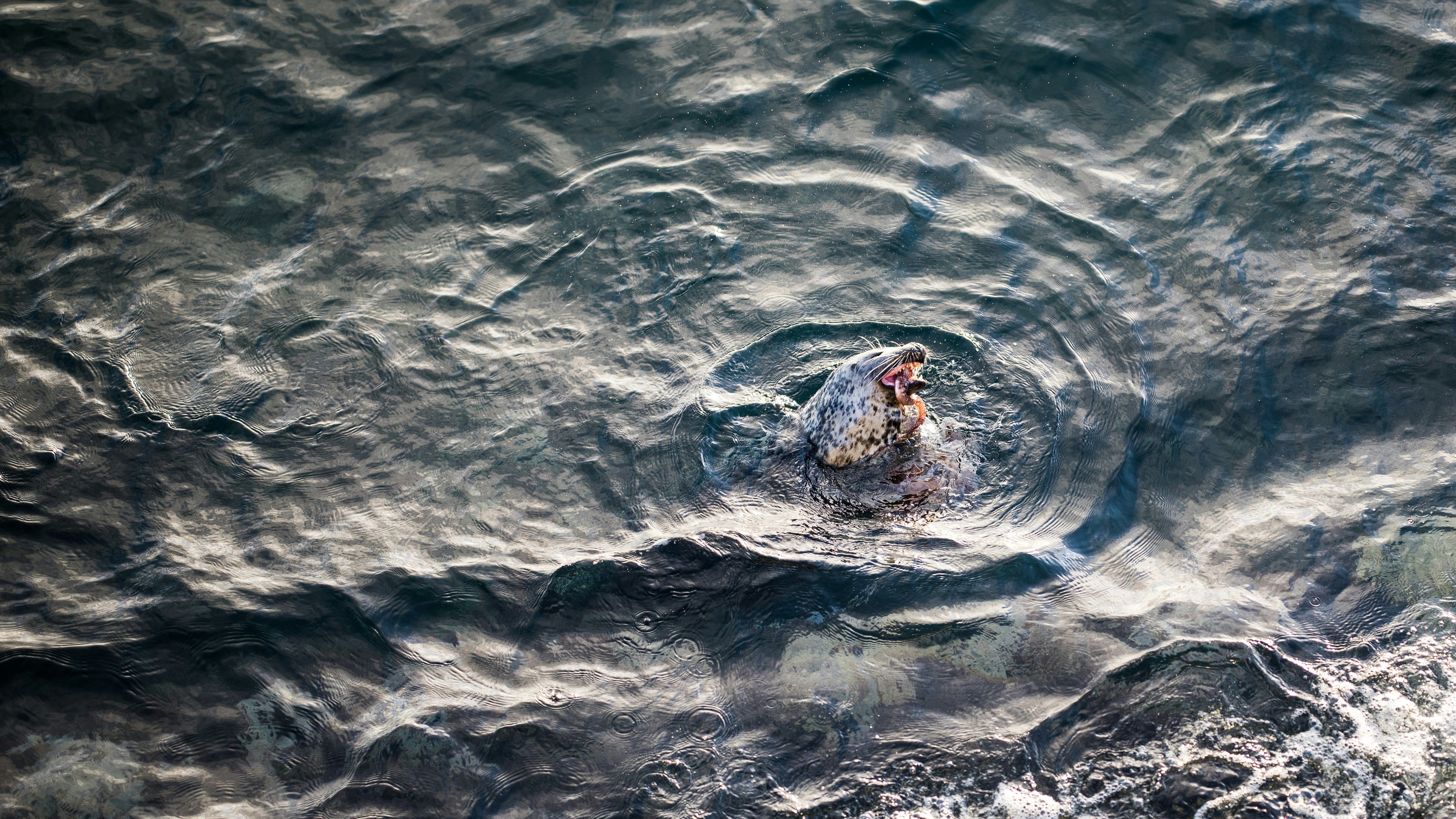 aerial photography of woman on rock formation surrounded with water during daytime