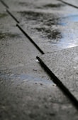 A close-up view of wet pavement with water accumulating in the grooves between the concrete slabs. The surface has a slightly reflective sheen due to the moisture, and the light creates small highlights.