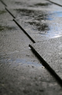 Wide shot of a driveway with newly sealed concrete surface shining under sunlight.