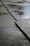 A close-up view of wet pavement with water accumulating in the grooves between the concrete slabs. The surface has a slightly reflective sheen due to the moisture, and the light creates small highlights.