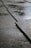 A close-up view of wet pavement with water accumulating in the grooves between the concrete slabs. The surface has a slightly reflective sheen due to the moisture, and the light creates small highlights.