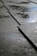 Close-up of freshly poured concrete driveway glistening under the morning sun.