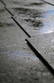 A close-up view of wet pavement with water accumulating in the grooves between the concrete slabs. The surface has a slightly reflective sheen due to the moisture, and the light creates small highlights.