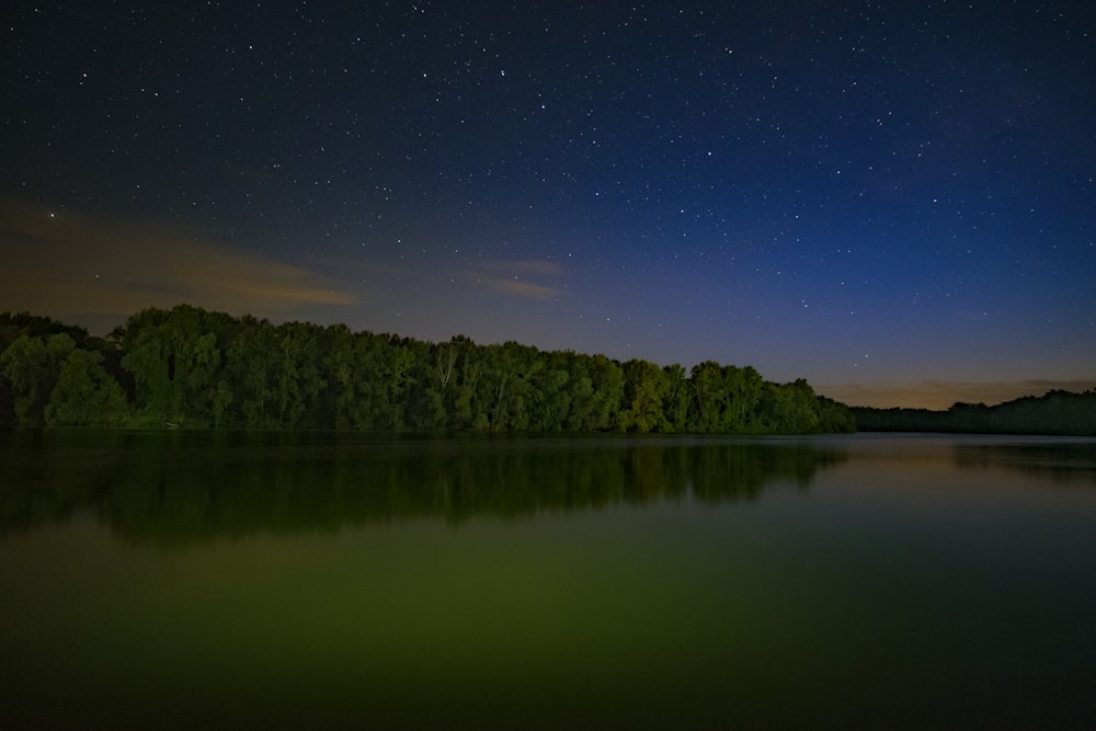 Fotografía de paisaje de un cuerpo de agua rodeado de árboles