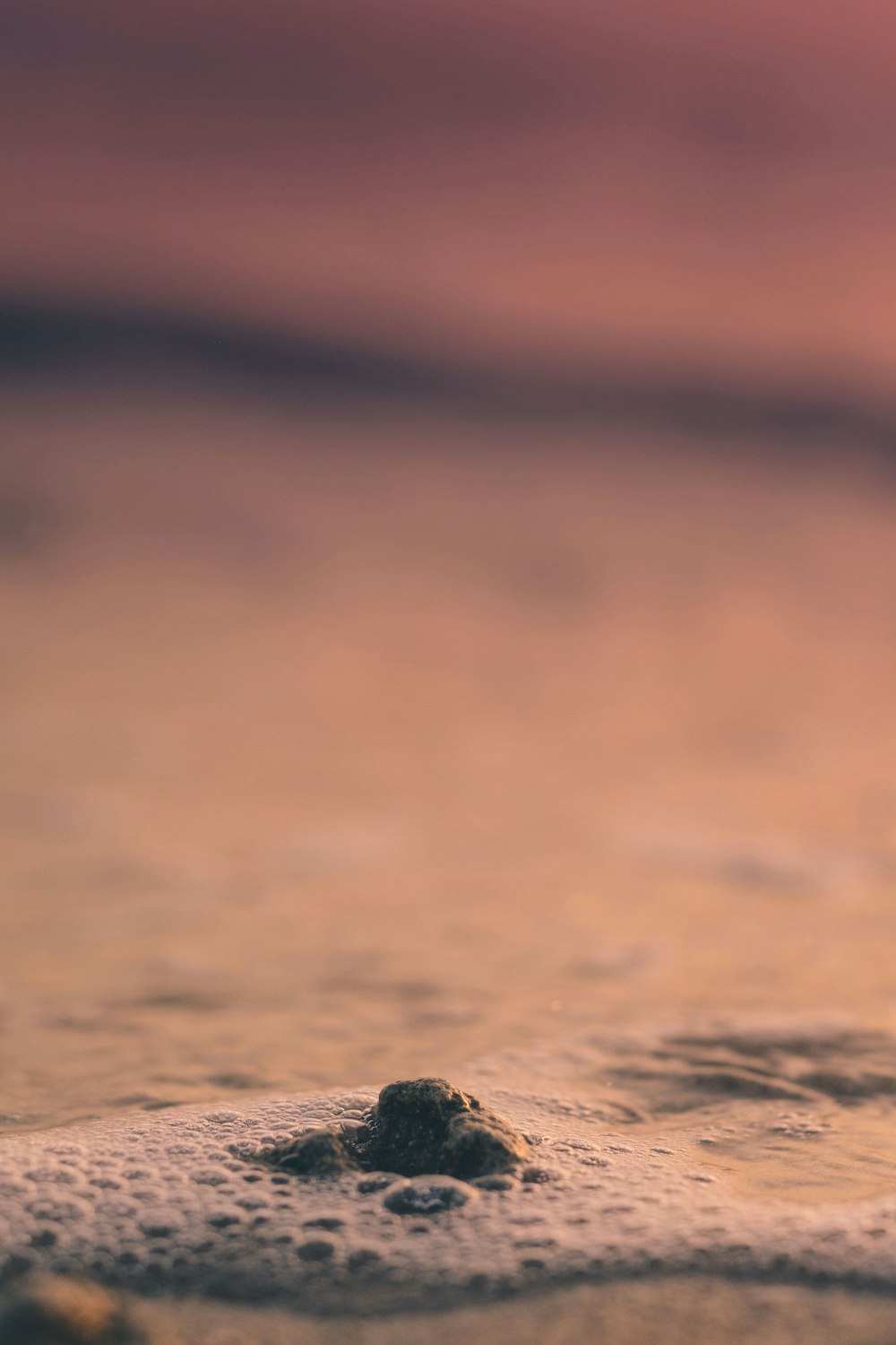 water waves bubbles