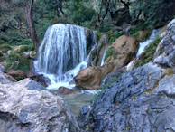 A scenic view of a waterfall cascading into a natural pool surrounded by tropical plants.