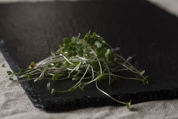 Green vegetable