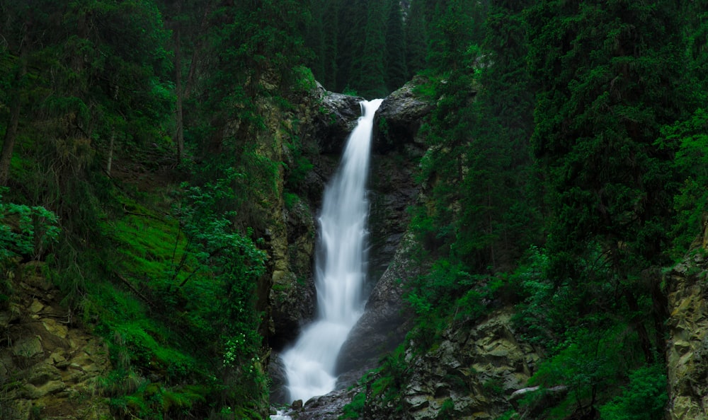 waterfalls near green leafed trees