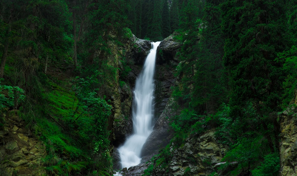 Cascadas cerca de árboles de hojas verdes