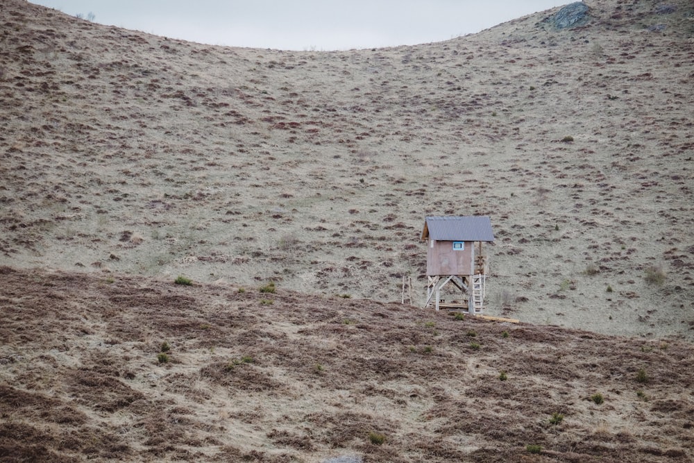 brown house surrounded by grasses