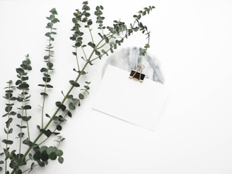 A soft, minimal desk scene with a handwritten letter, a steaming cup of tea, and a sprig of eucalyptus on off-white paper.