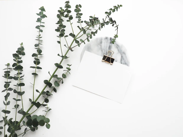 A delicate eucalyptus branch resting on a minimalist wedding invitation card with soft pastel background.
