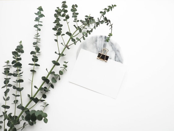 A soft, minimal desk scene with a handwritten letter, a steaming cup of tea, and a sprig of eucalyptus on off-white paper.