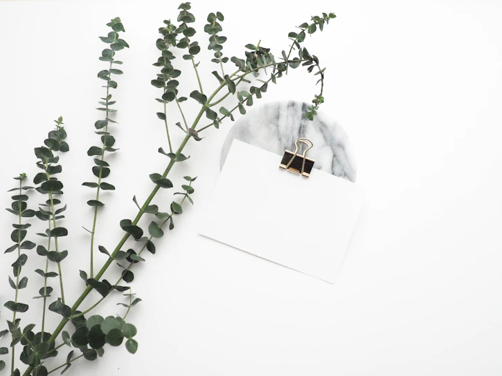 Close-up of eucalyptus leaves gently resting on a delicate white wedding invitation card.