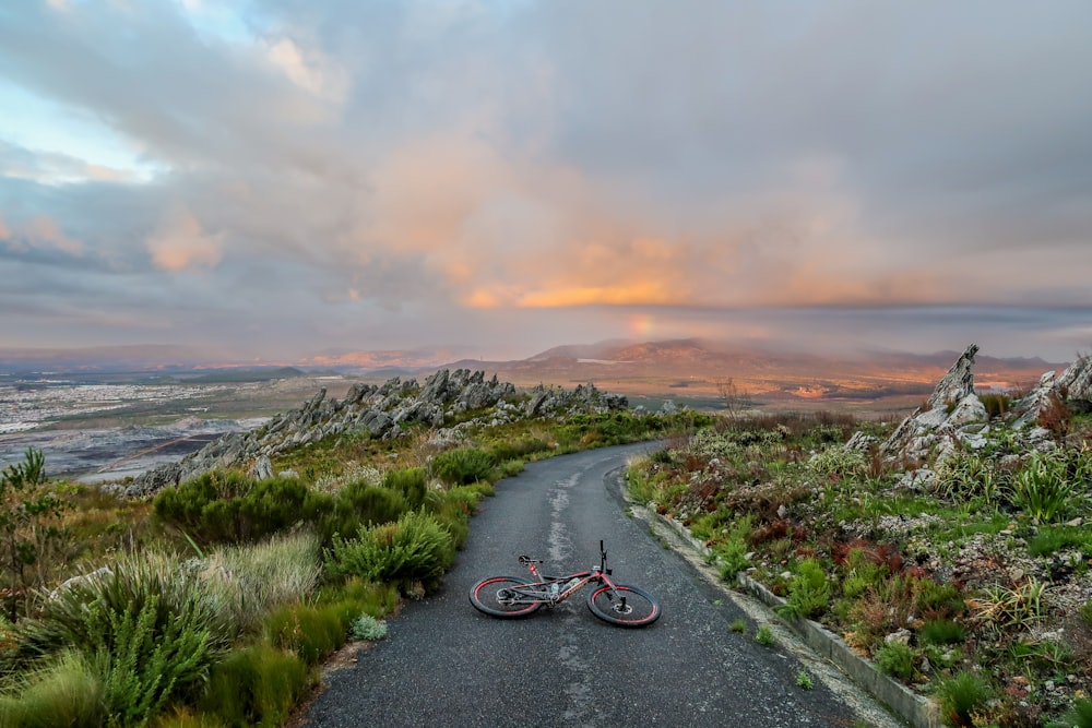 bici su strada circondati da piante