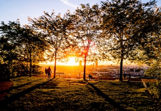 silhouette of a man and woman at the garden