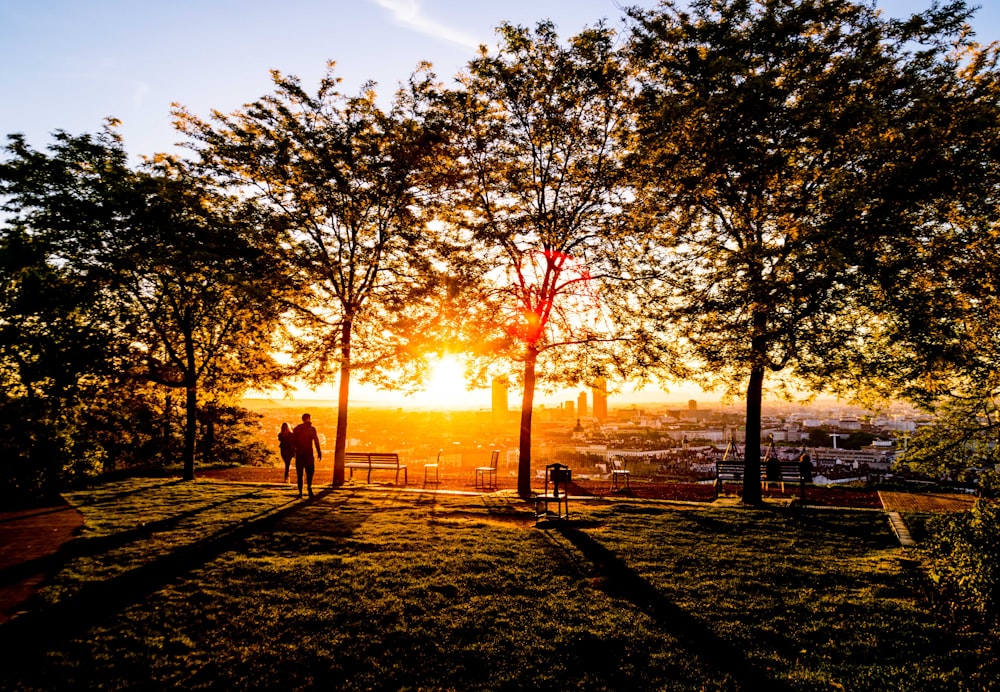 silhouette of a man and woman at the garden