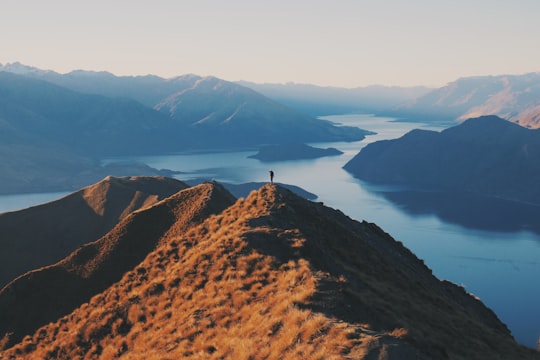 person standing on top of hill in Roys Peak New Zealand