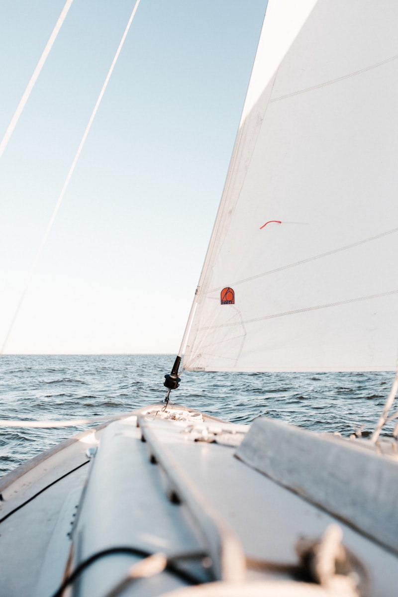 Skipper professionnel / Skipper professionnelle