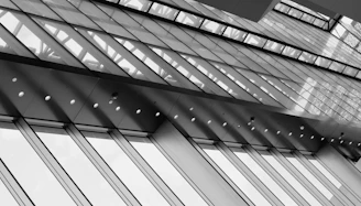 Close-up of sleek architectural grid lines in monochrome, symbolizing structured growth.