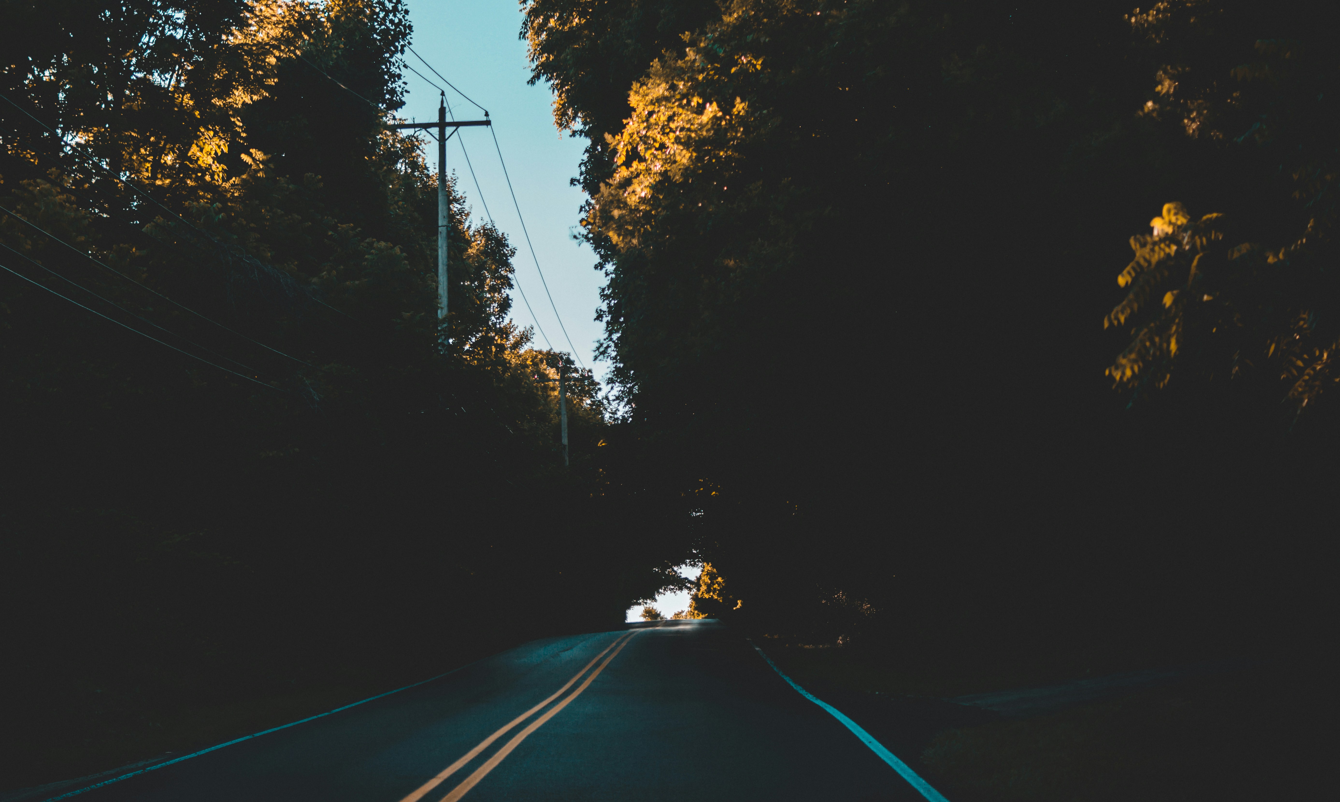 Photo by josenothose