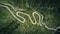 aerial view of asphalt road surrounded by trees