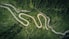 aerial view of asphalt road surrounded by trees