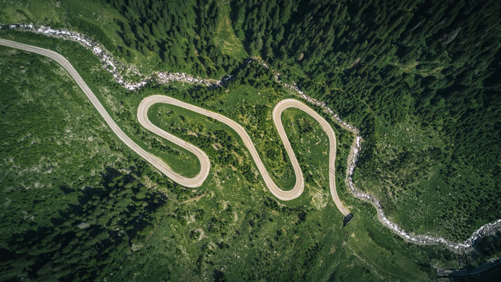 木々に囲まれたアスファルト道路の空撮