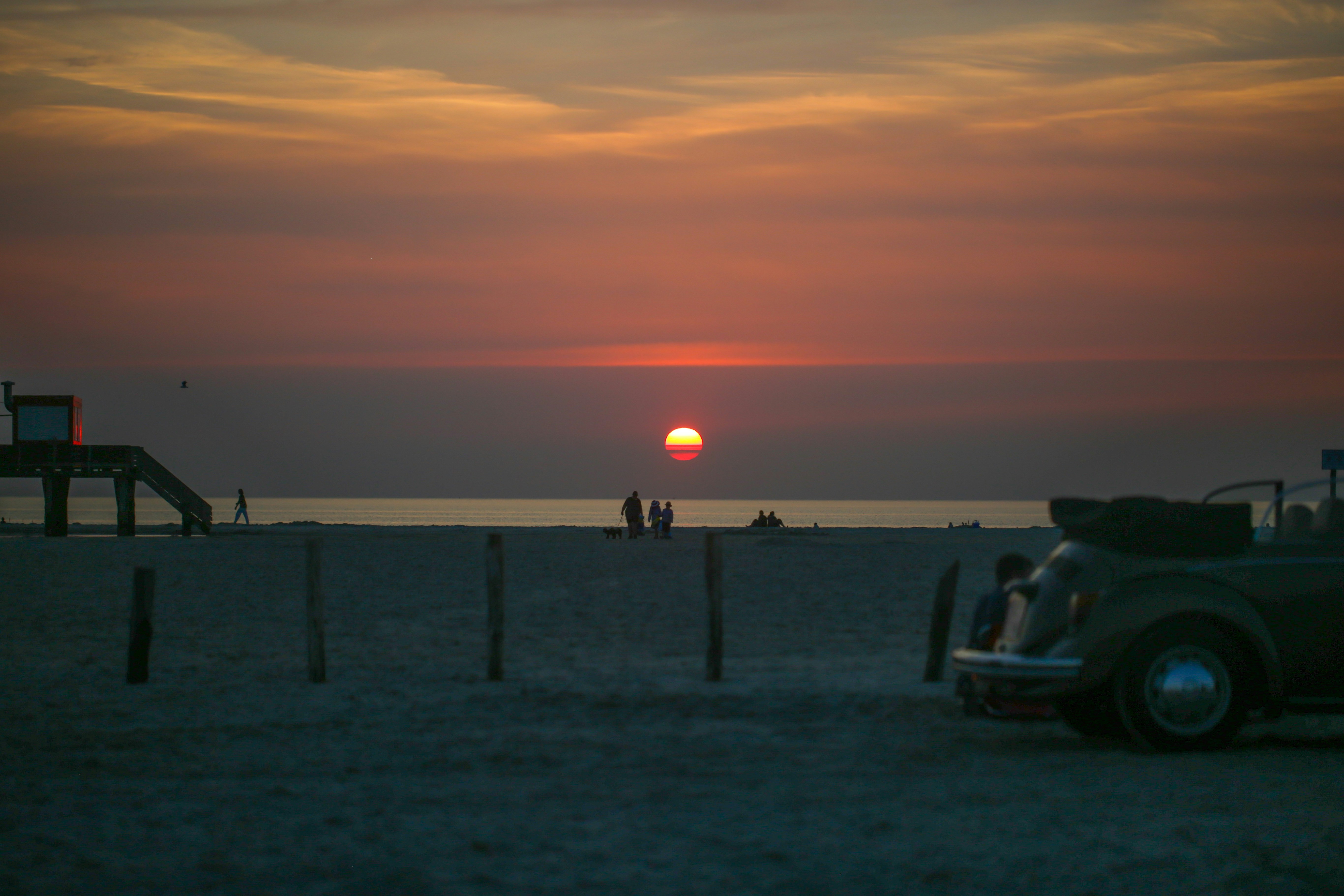 How Flowers Manipulate Pollinators: Deception in the Garden