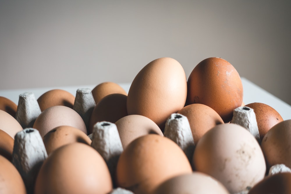 Fotografía de enfoque superficial de huevos marrones