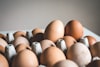 Farm Groups, Senators Call for Federal Investigation Into Rising Egg Prices
