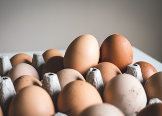 shallow focus photography of brown eggs