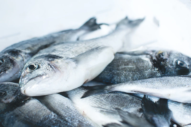 Line-caught sustainable seafood