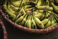 A wicker basket filled with bunches of ripe yellow bananas, some of which have dark spots on their peels.