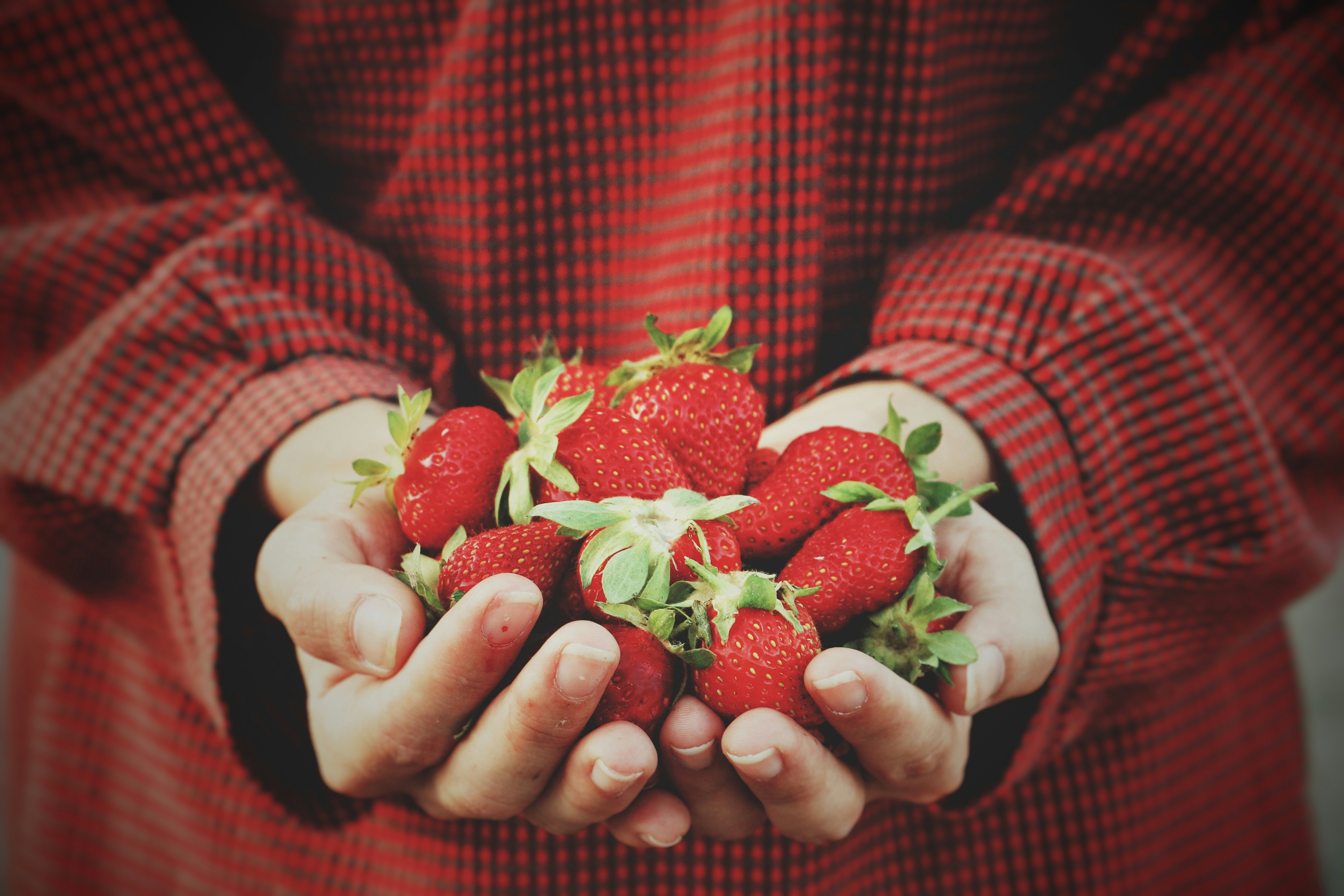 VIII Jornada Acadêmica de Nutrição & VI Mostra de Ensino, Pesquisa e Extensão