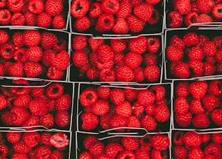 bunch of raspberries