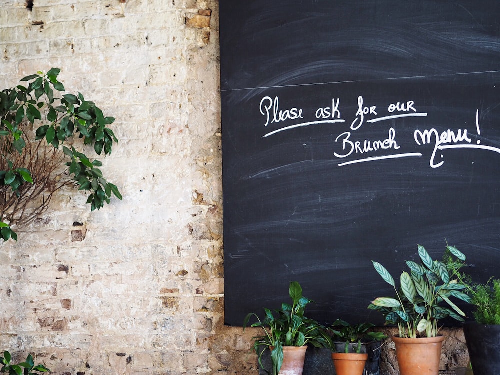 black board with pleas ask for our brumeh meru! text beside green potted plants