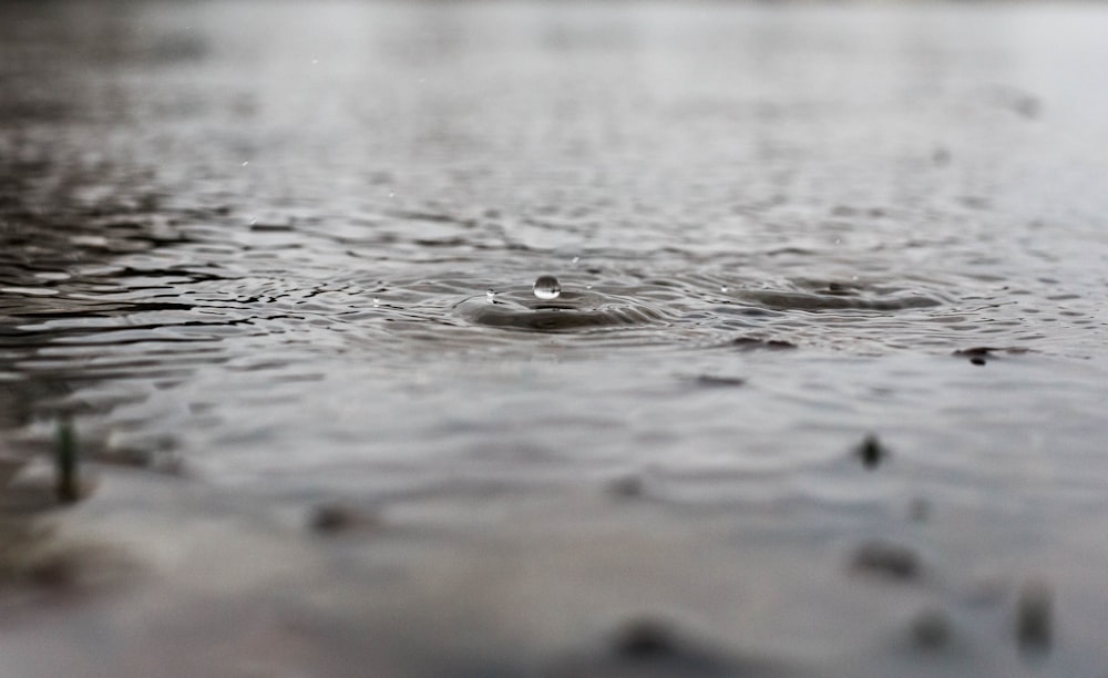 photo de mise au point sélective d’une gouttelette d’eau