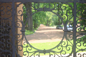 Automated gate smoothly opening with a landscaped driveway in the background