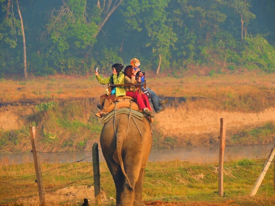 four person riding elephant during daytime in Chitwan National Park Nepal