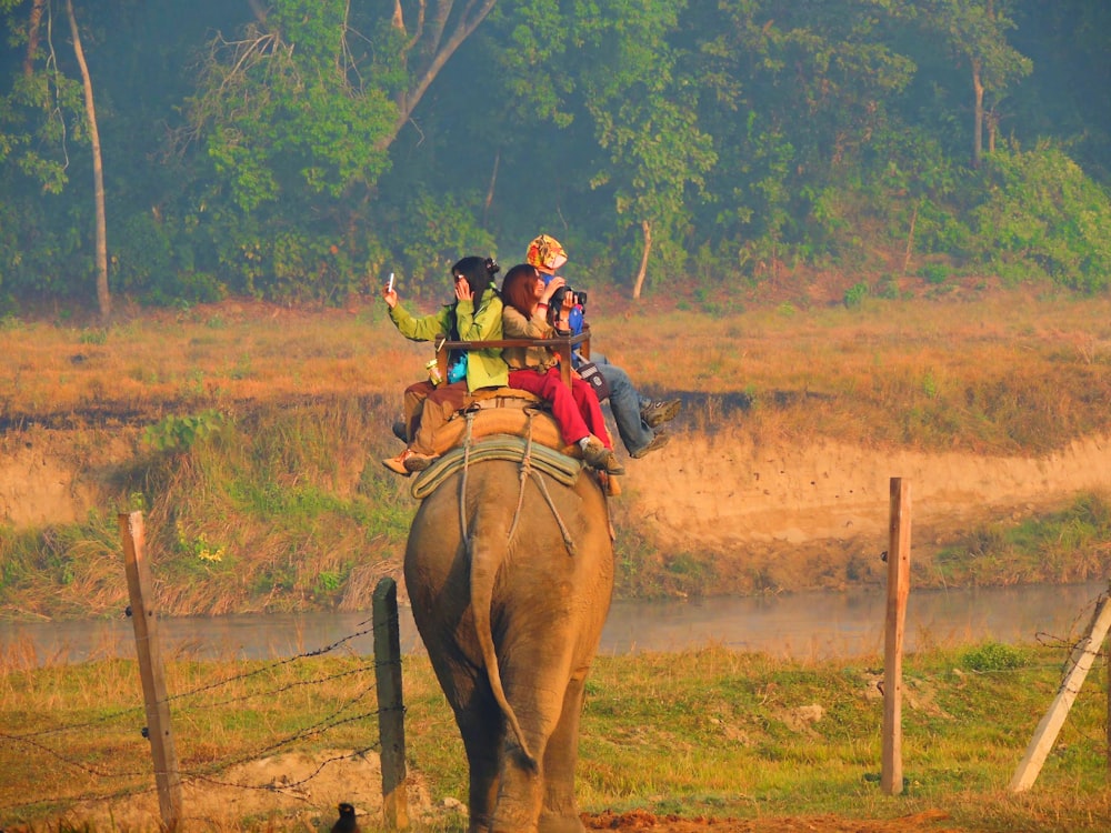 four person riding elephant during daytime