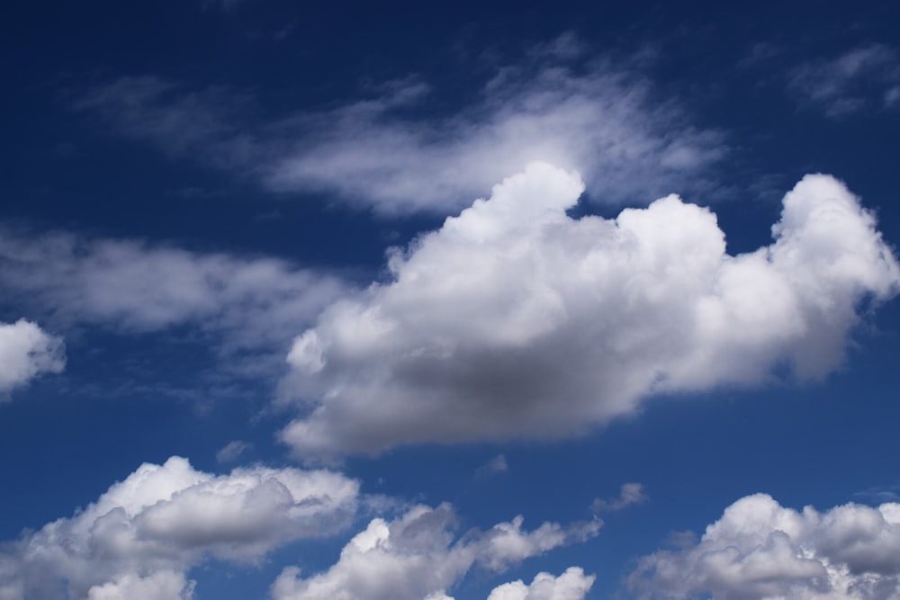 white cumulus clouds