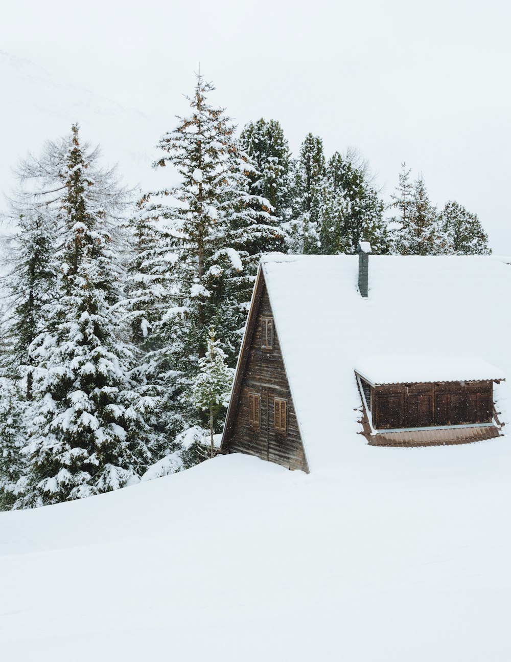 昼間は木々の脇に雪が積もった茶色の小屋